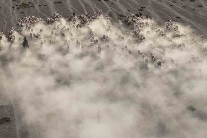 arazide-ilerleyen-koyun-ve-kuzularin-toz-bulutlariyla-goruntusu-gorsel-solen-sundu