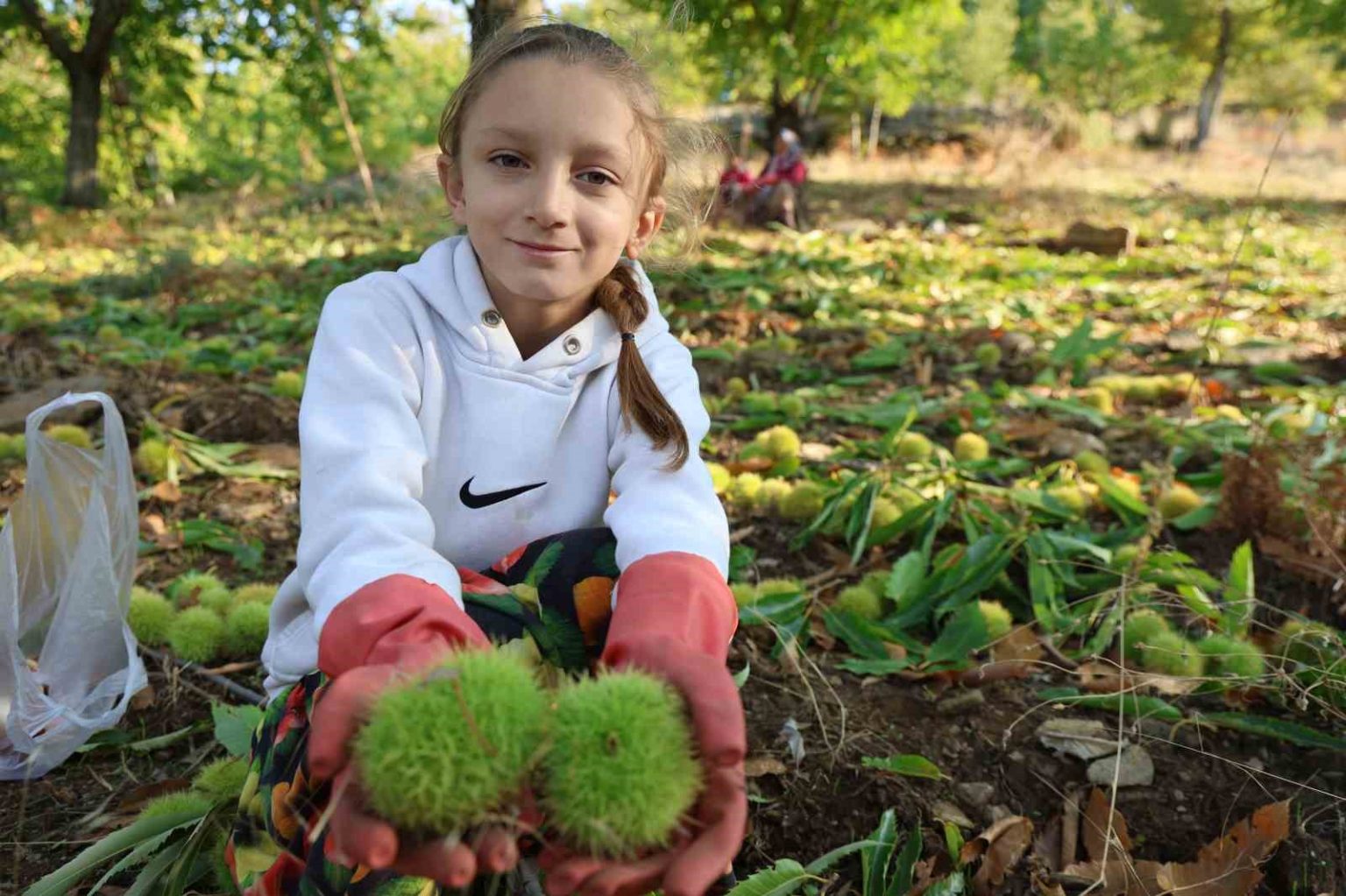aydinin-daglarinda-hareketlilik-basladi-kestane-ureticilerini-hasat-telasi-sardi