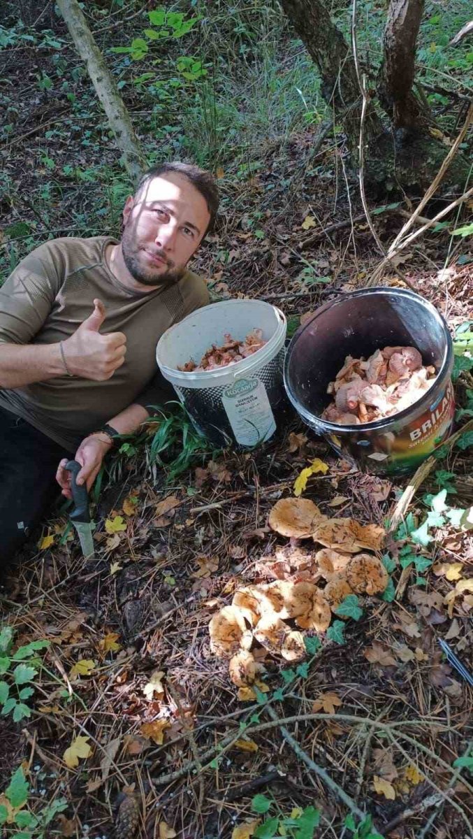 bolu-ormanlarinda-mantar-bereketi-25-kilo-kanlica-topladi