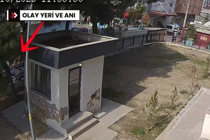 gulbenin-sokak-ortasinda-olduruldugu-cinayete-ait-goruntuler-ortaya-cikti