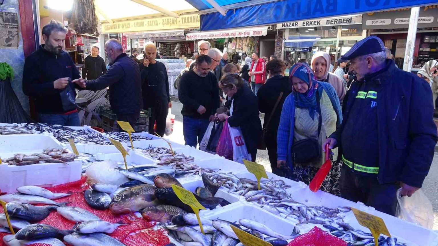 hamsini-kilosu-300-tlden-100-tlye-dustu-kapis-kapis-gitti