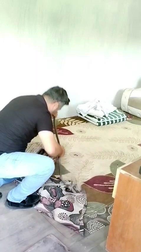 insanlar-korkularindan-konteynere-giremezken-o-elleriyle-1-metrelik-yilani-yakaladi