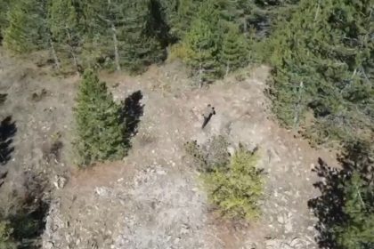 ispartada-kacak-avci-dron-kamerasinda