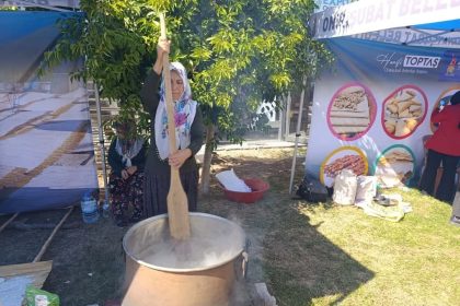 kahramanmarasta-geleneksel-bag-bozumu-festivali