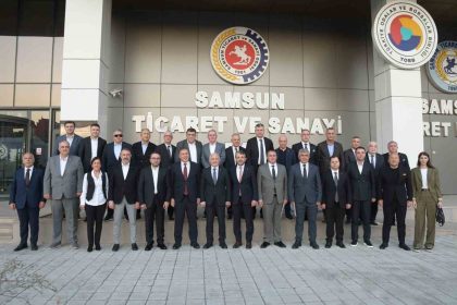 kahverengi-kokarca-sorunu-samsundaki-oda-ve-borsalarin-gundeminde