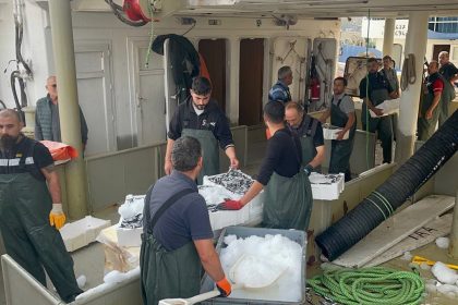 karadenizden-kasalarca-hamsi-cikti