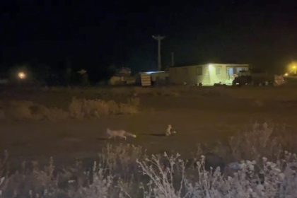 karsta-havalar-sogudu-tilkiler-koye-indi