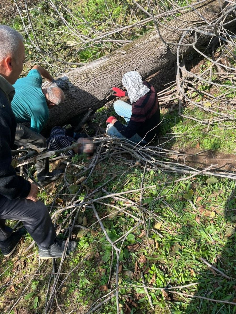 kestigi-agacin-altinda-kalarak-yaralanmisti-hastanede-hayatini-kaybetti