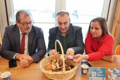 mantarlarin-gizemli-dunyasi-anlatildi