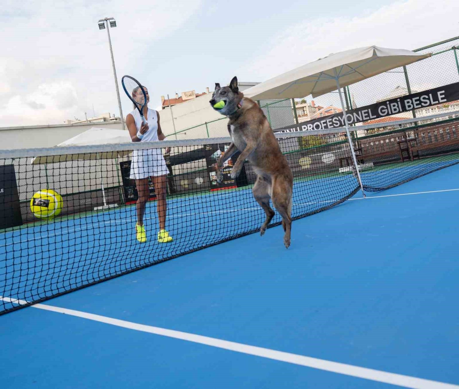 milli-tenisci-buyukakcay-patili-dostu-ile-tenis-oynadi