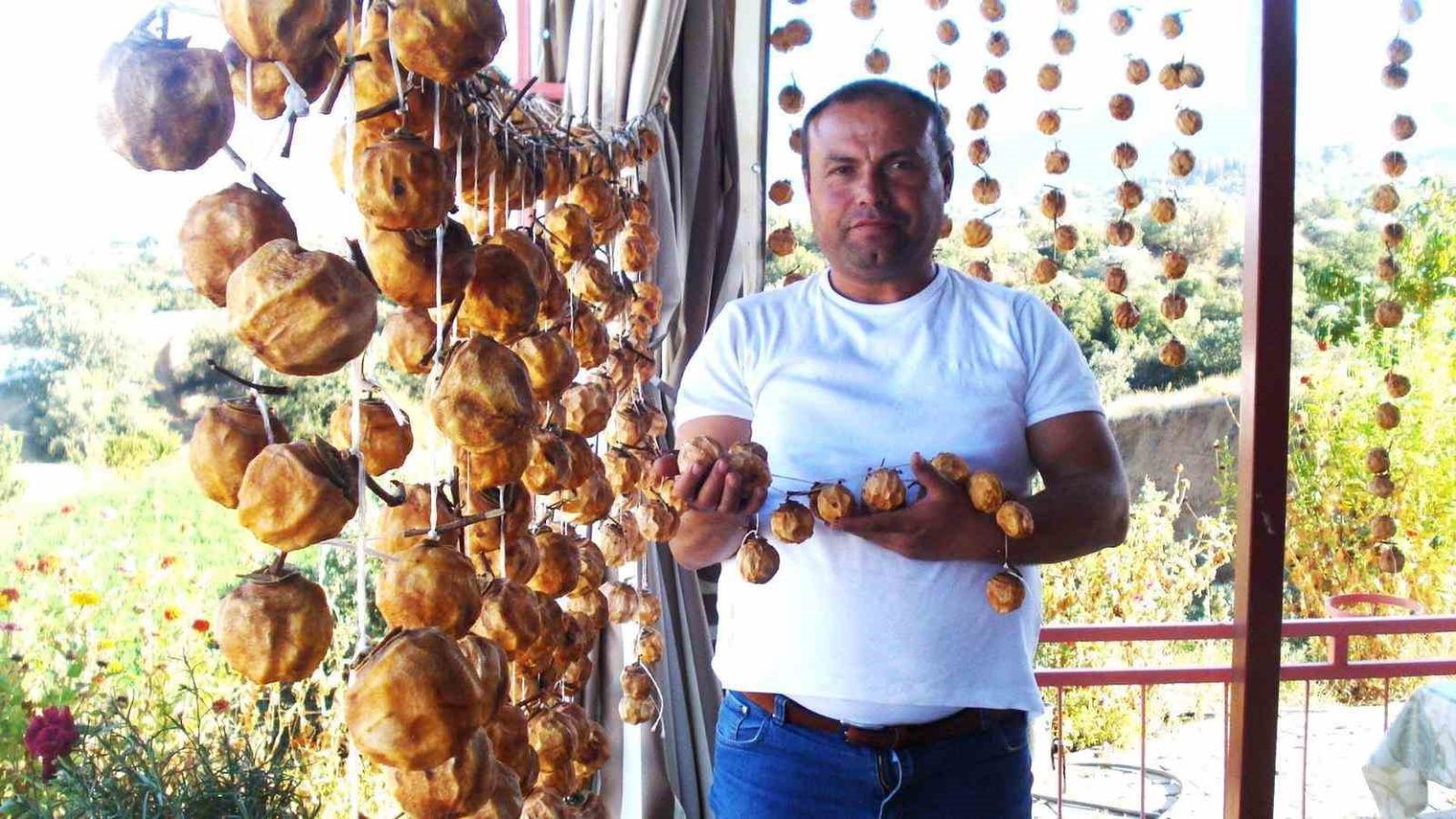 sarigolde-balkonlar-cennet-elmasiyla-renklendi