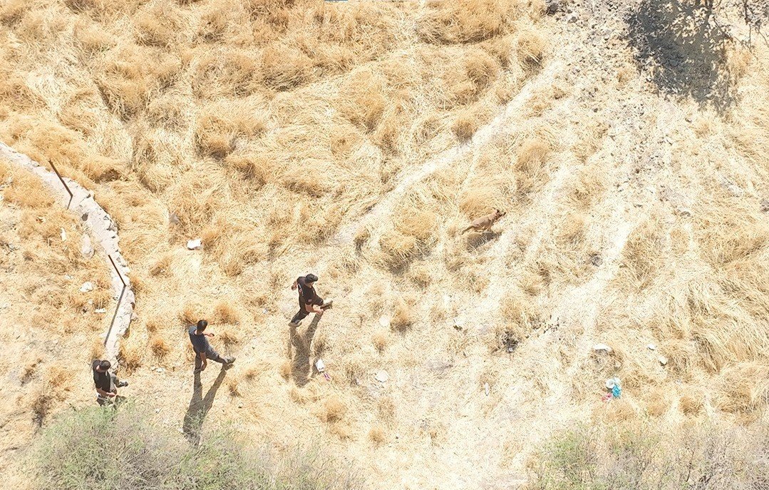 siirtte-kaybolan-alzaymir-hastasi-ramazan-batur-icin-arama-calismalari-sona-yaklasti