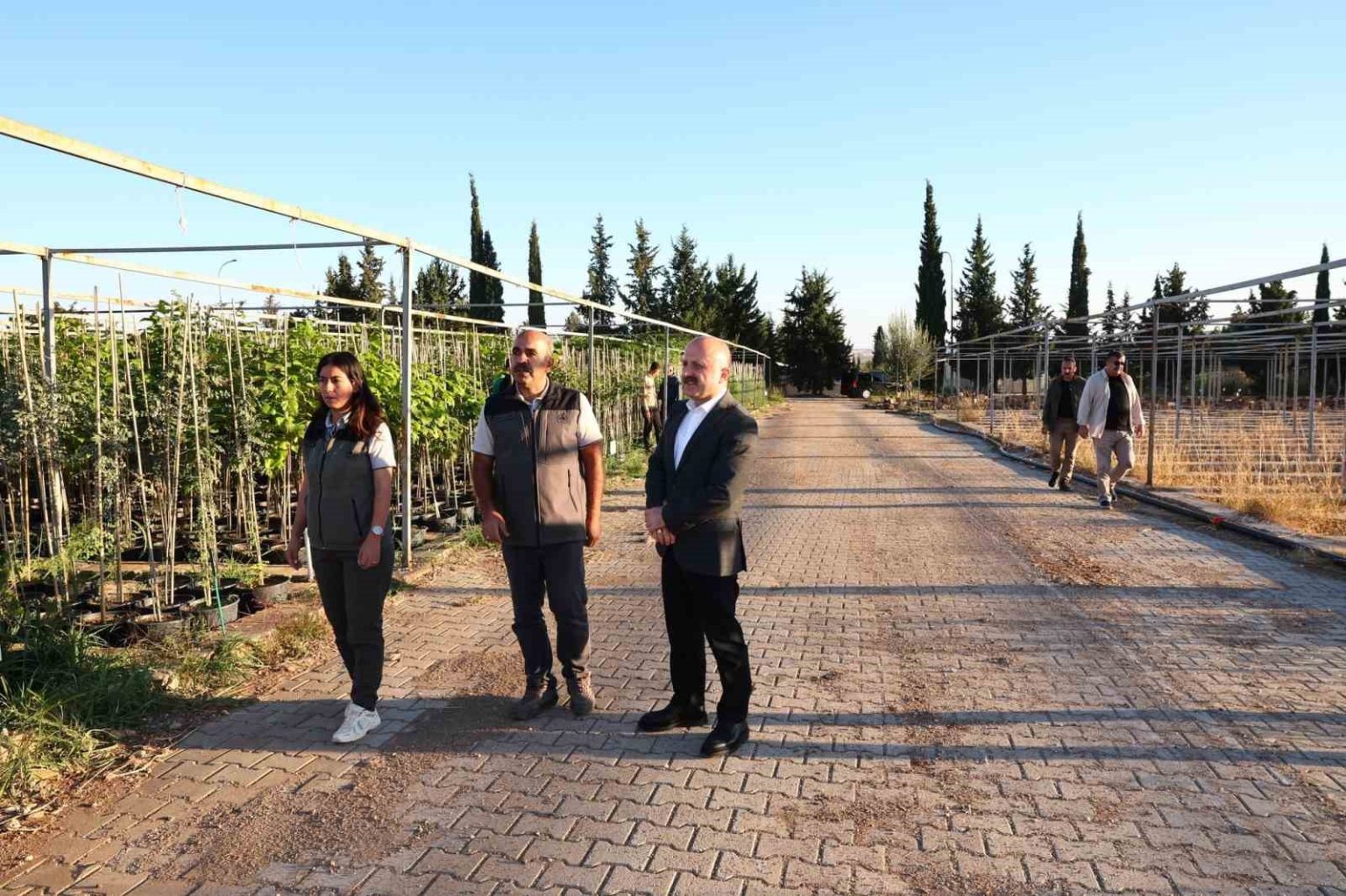 vali-varol-orman-fidanliginda-incelemelerde-bulundu