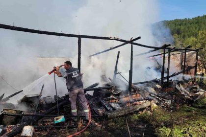 yanginda-36-kovan-ari-telef-oldu