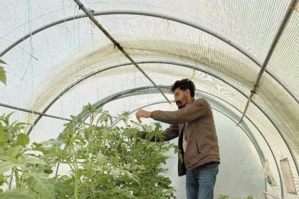 berberlikten-arta-kalan-zamanini-dogaya-ayiriyor