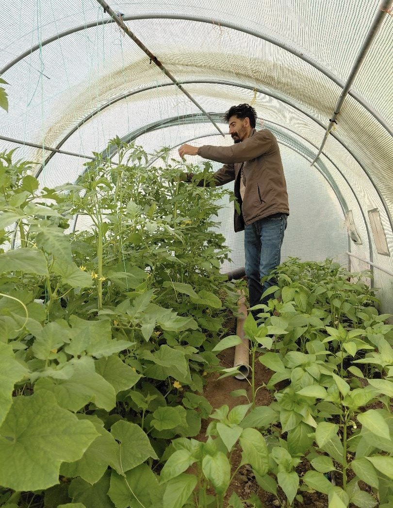 berberlikten-arta-kalan-zamanini-dogaya-ayiriyor