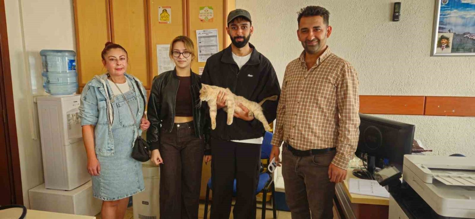 cip-sayesinde-kayip-kedi-kisa-surede-sahibine-kavustu