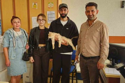 cip-sayesinde-kayip-kedi-kisa-surede-sahibine-kavustu