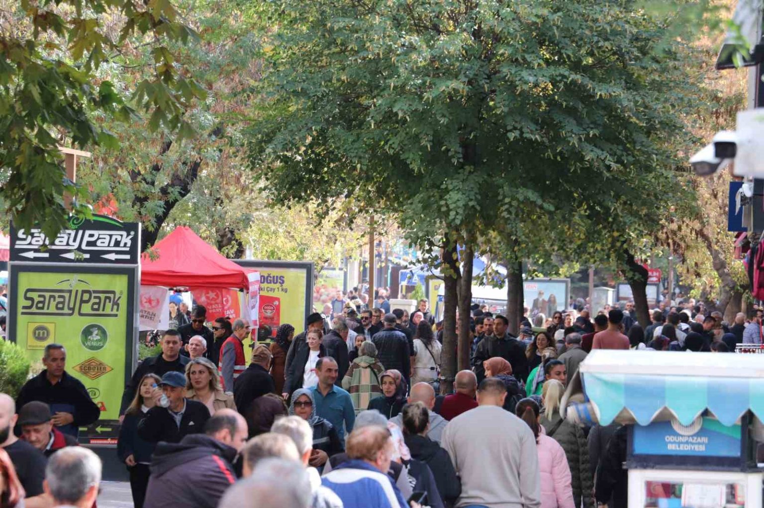 havanin-sicak-olusunu-firsat-bilenler-kendini-disariya-atti