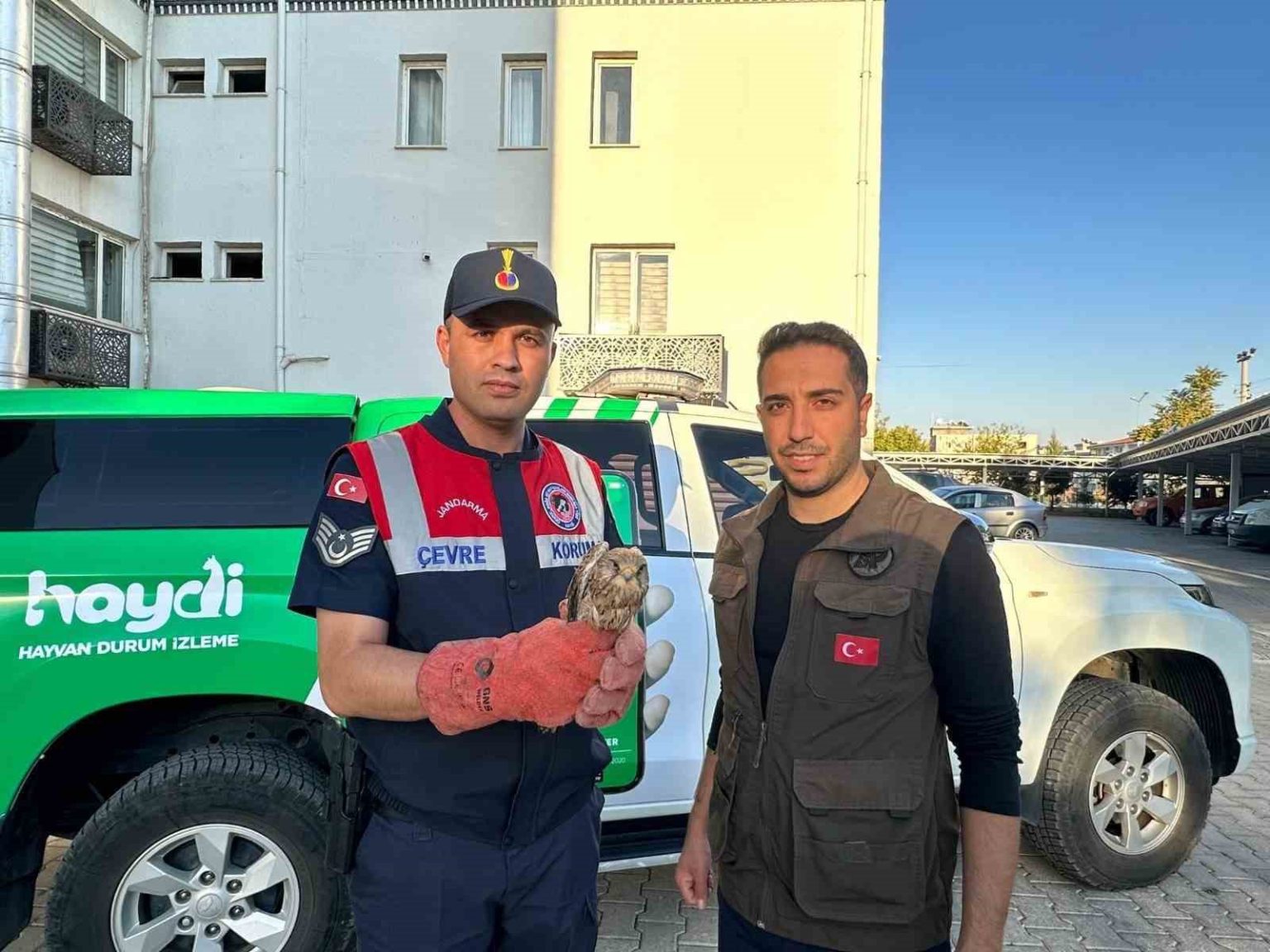 kiliste-yarali-halde-bulunan-kerkenez-kusu-koruma-altina-alindi