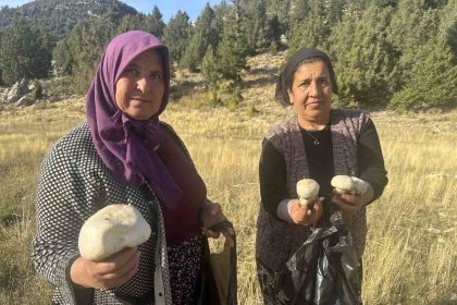 toroslarda-yagmurla-birlikte-mantar-sezonu-acildi