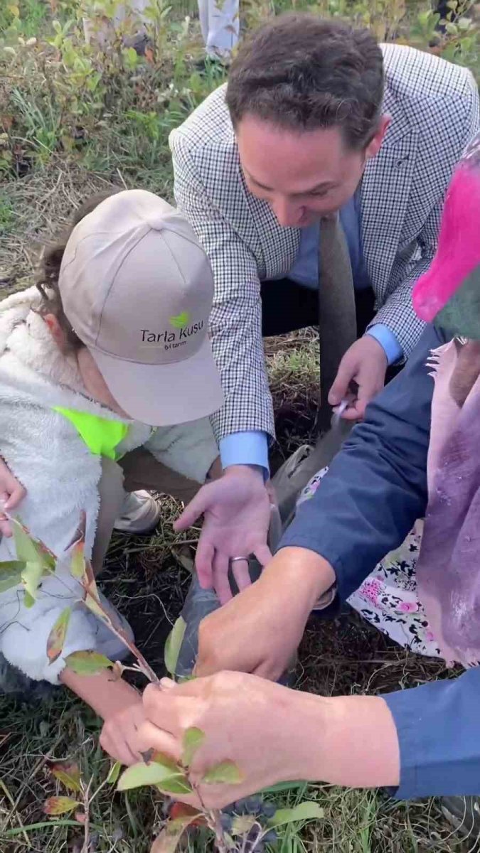 bigada-ogrencilerle-aronya-toplama-etkinligi