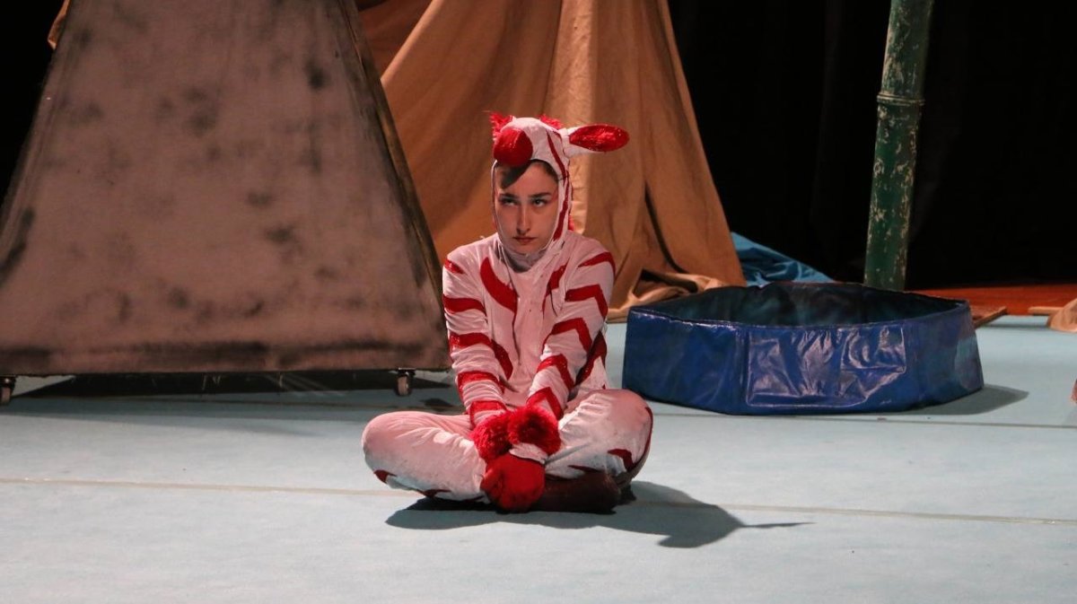 bir-zebra-muzikali-minik-seyircilerle-bulustu