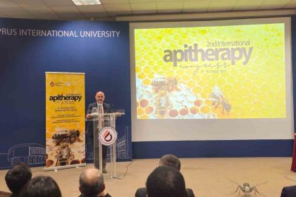 doganin-sundugu-sifa