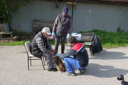 duzcede-175-kopek-yerinde-sahiplendirildi