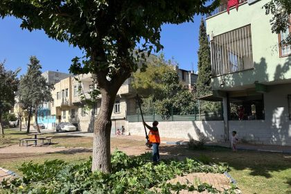 eyyubiyedeki-parklarda-sonbahar-bakimi