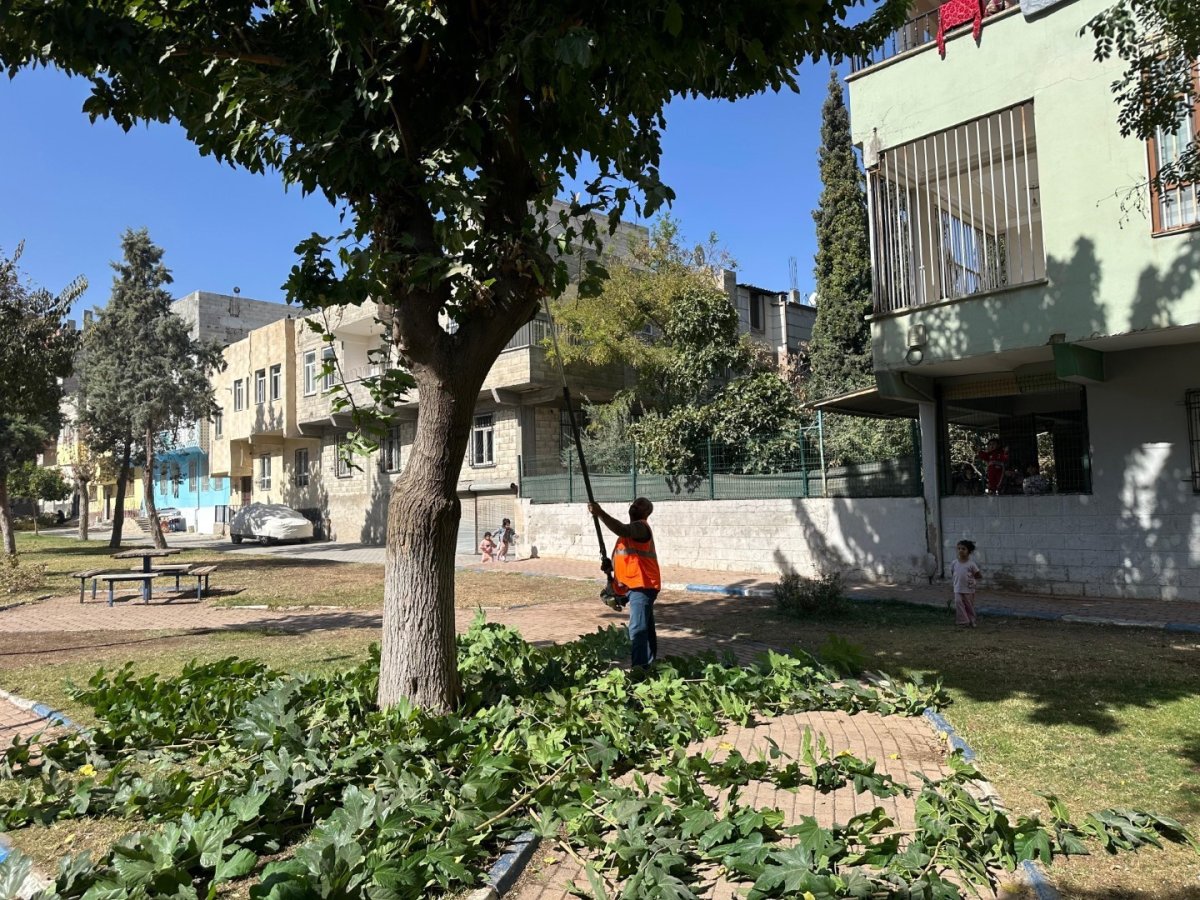 eyyubiyedeki-parklarda-sonbahar-bakimi