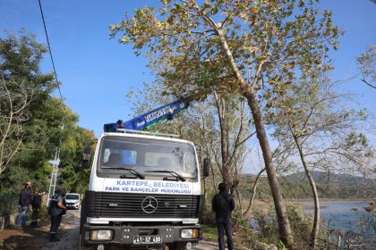 kartepede-yesil-alanlara-bakim-yapiliyor