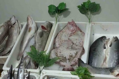kebap-sehri-gaziantepin-yeni-gozdesi-balik