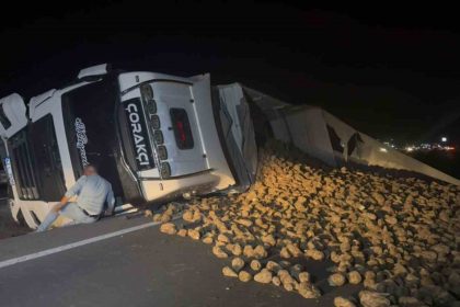 kopege-carpmamak-icin-surucusunun-manevra-yaptigi-pancar-yuklu-tir-refuje-devrildi