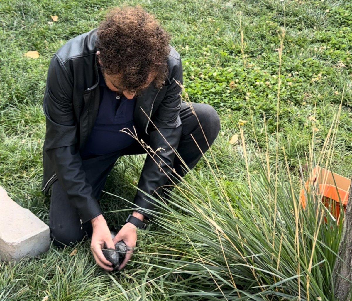 ogretmenin-fark-ettigi-yarali-guvercin-kurtarildi