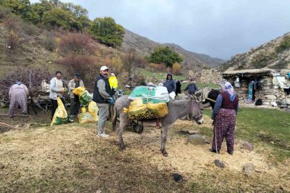 suhutta-kestane-hasadi-basladi
