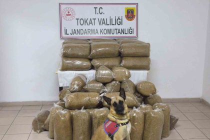 tokatta-340-kilo-kacak-tutun-ele-gecirildi