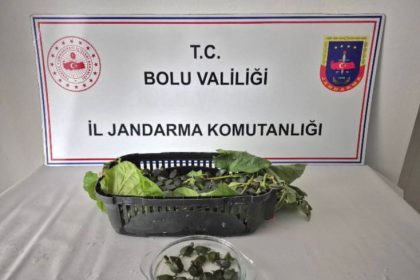 yolcu-otobusunde-500-yasakli-su-kaplumbagasi-ele-gecirildi