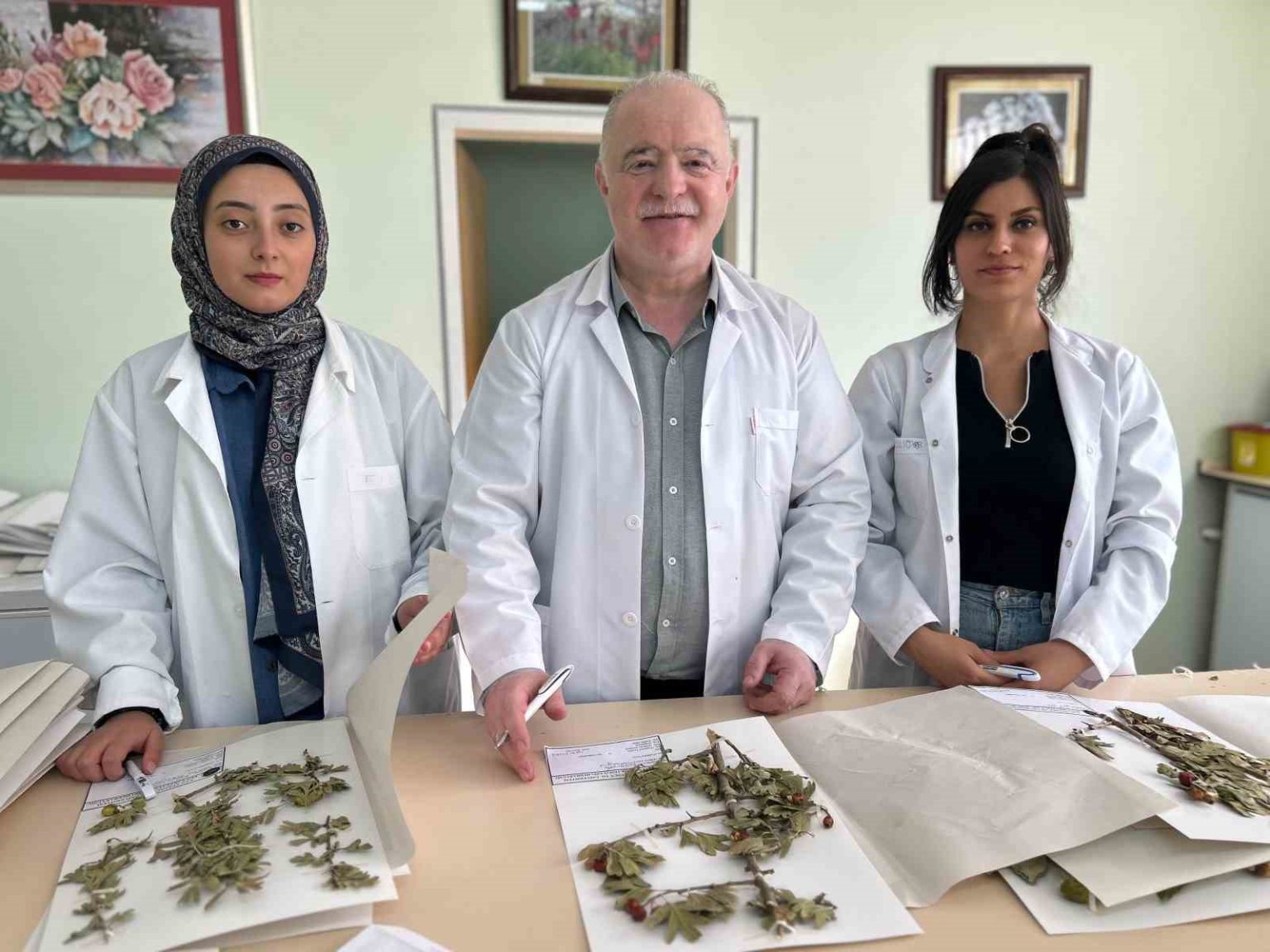 90-bin-bitki-ornegiyle-bilimsel-bir-hazine-vanf-herbaryumu