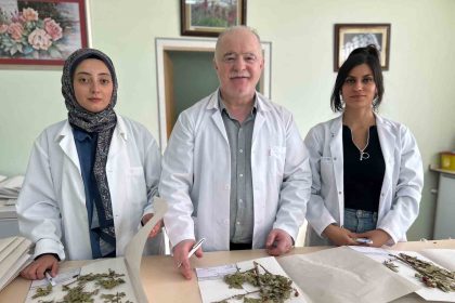 90-bin-bitki-ornegiyle-bilimsel-bir-hazine-vanf-herbaryumu