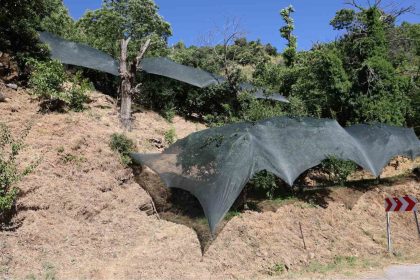 aydinda-don-afeti-magduru-ureticilere-50-milyon-liralik-destek