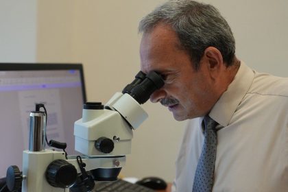 bati-karadeniz-orman-fidanliklarinda-toprak-canlilari-ilk-kez-arastiriliyor