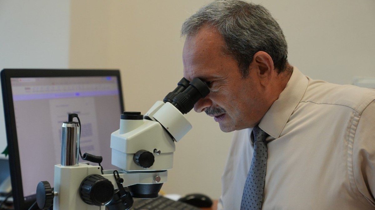 bati-karadeniz-orman-fidanliklarinda-toprak-canlilari-ilk-kez-arastiriliyor