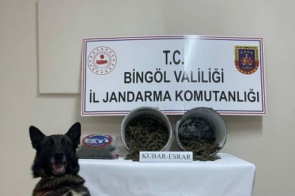 bingolde-2-kilo-esrar-ele-gecirildi-1-tutuklama