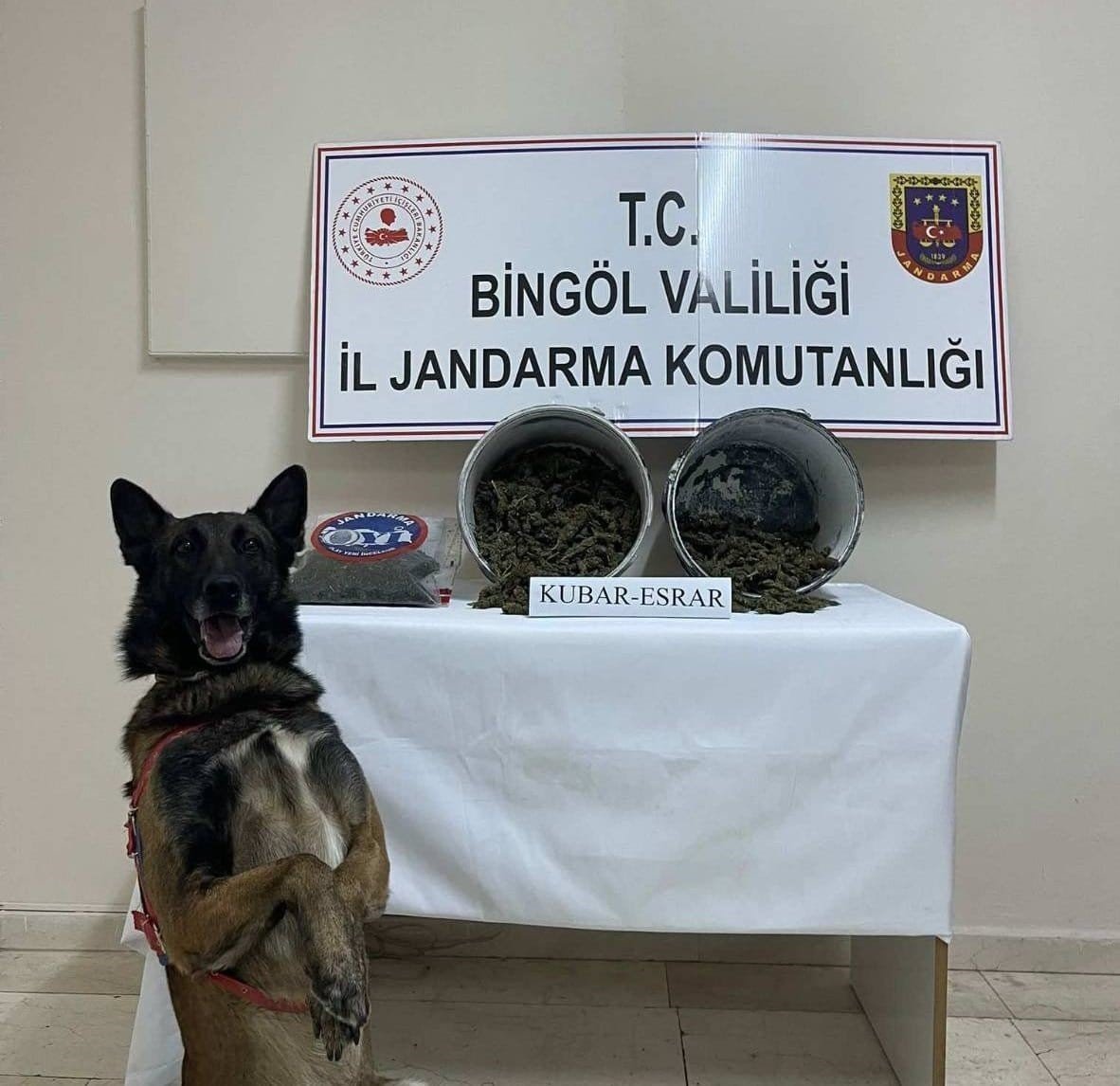 bingolde-2-kilo-esrar-ele-gecirildi-1-tutuklama