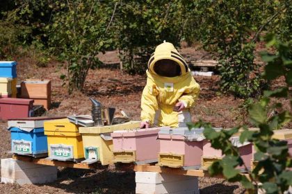 duzce-universitesi-mezunlarindan-uluslararasi-basari