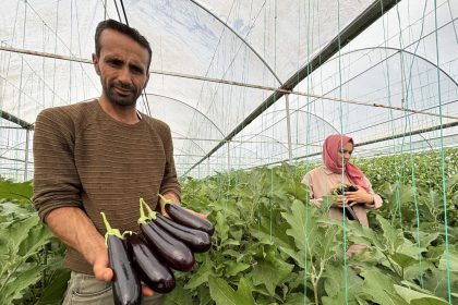 eyyubiye-sera-kentte-yuzlerce-sus-bitkisi-ve-sebze-yetistiriliyor