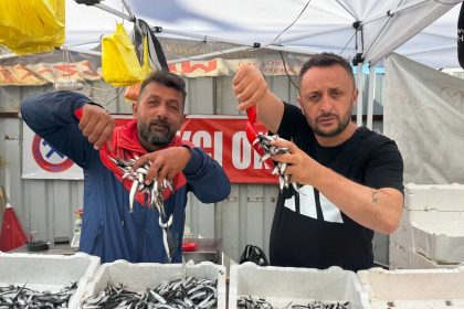 hamsinin-fiyati-70-liraya-indi-tezgahlar-senlendi