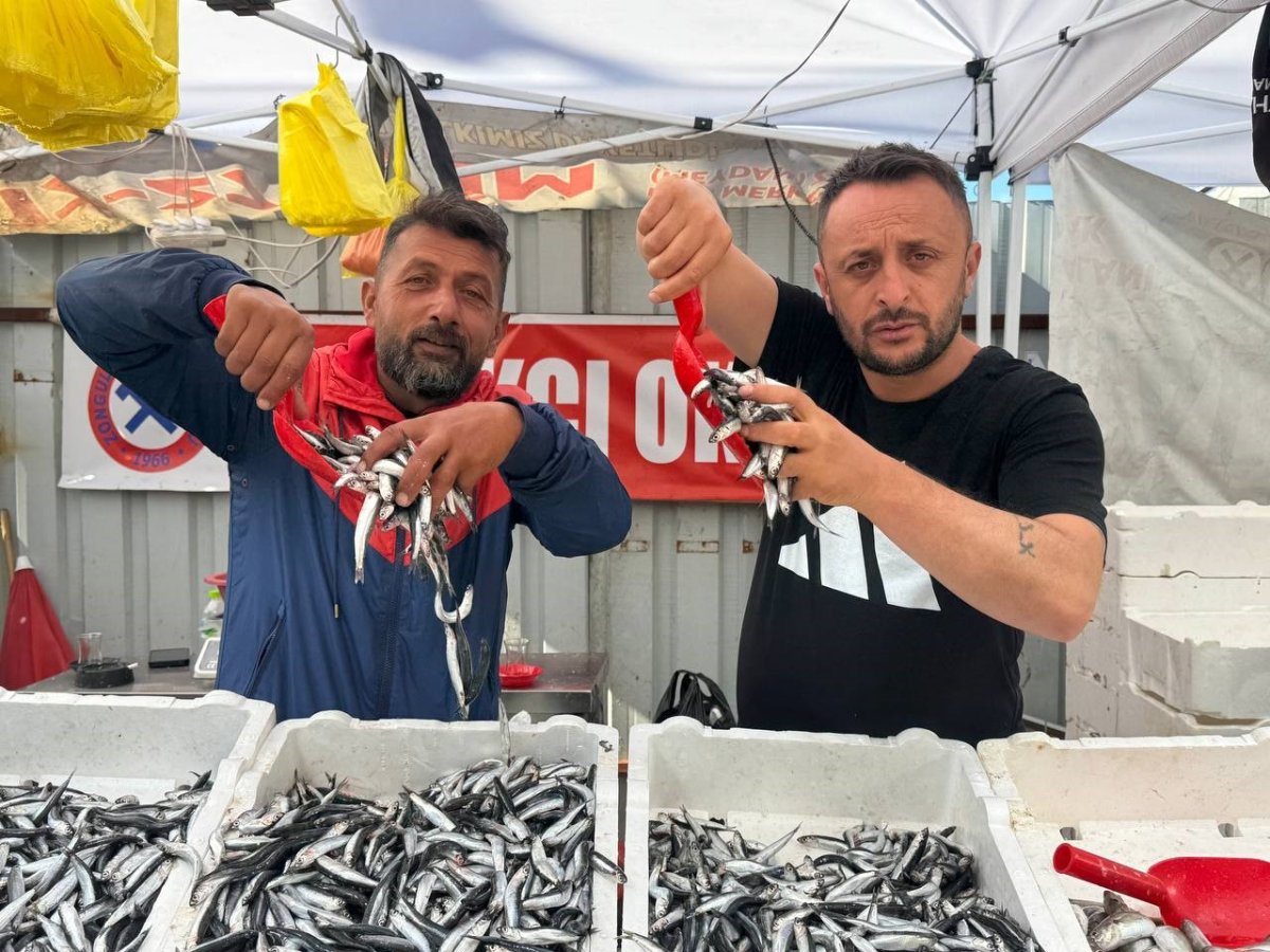 hamsinin-fiyati-70-liraya-indi-tezgahlar-senlendi