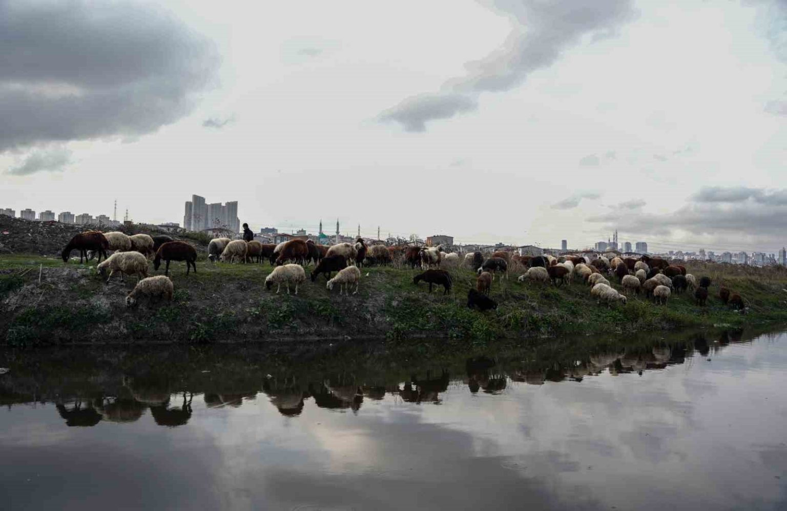 istanbulda-siyaha-burunen-dere-kirlilik-saciyor